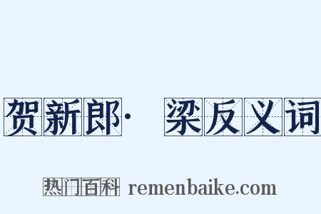 贺新郎·梁反义词是什么意思的图片